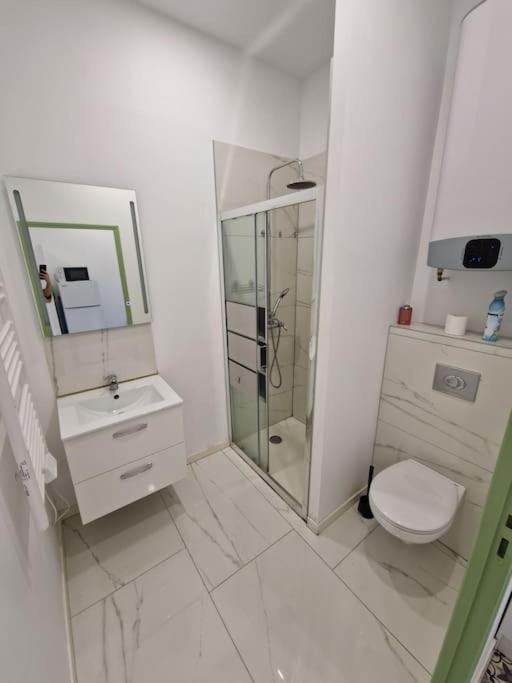 סן-אטיין T1 Bis 1 Chambre מראה חיצוני תמונה